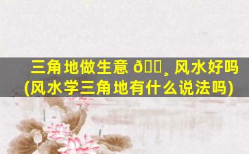 三角地做生意 🌸 风水好吗(风水学三角地有什么说法吗)
